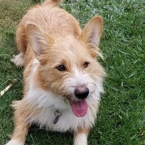 Meet your Posher, Marlisa